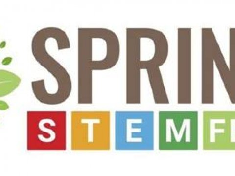 STEM-весна–2025